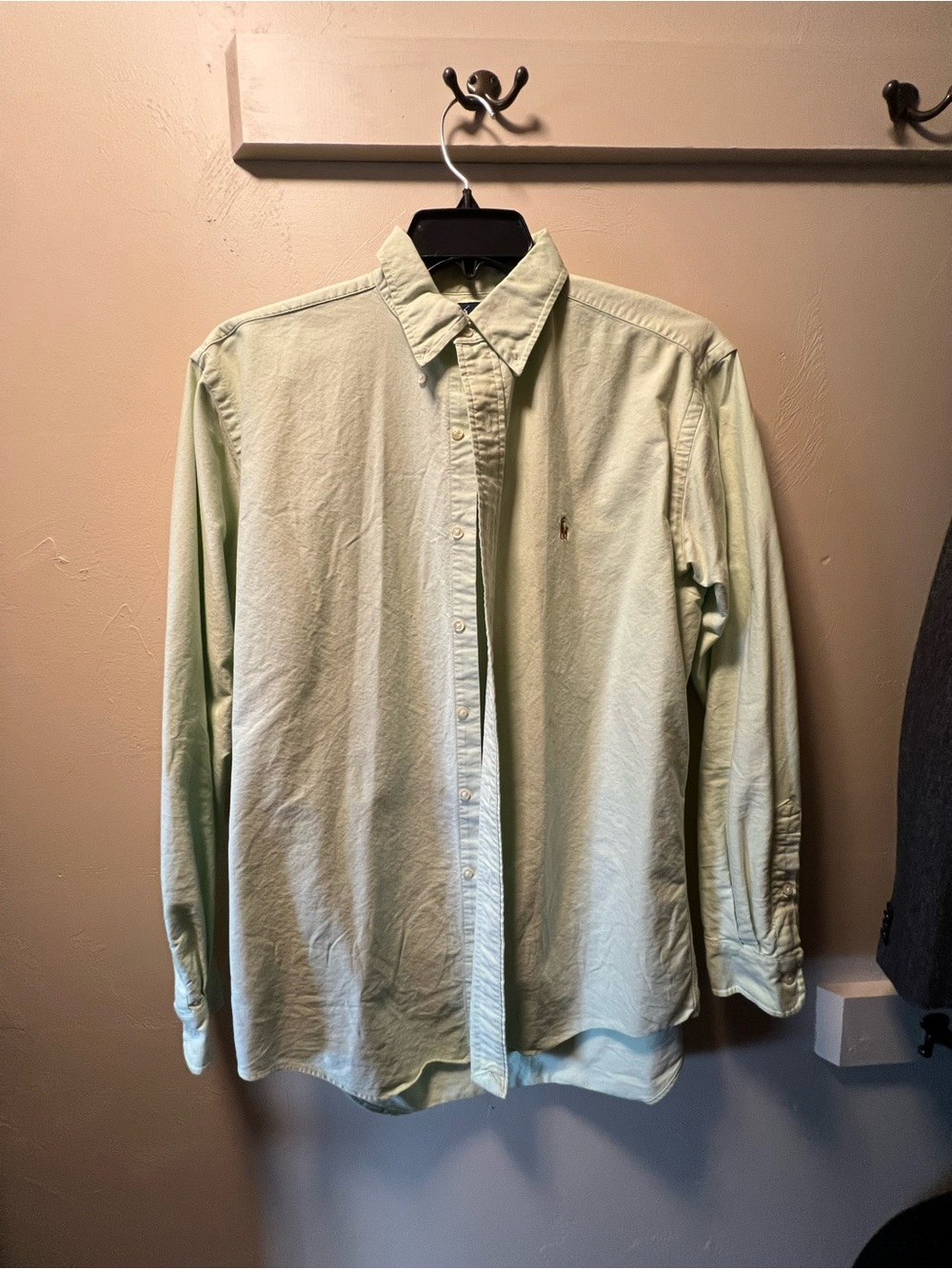 Polo by Ralph Lauren Green Long-Sleeve Button-Down Shirt